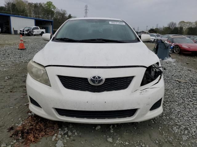 2010 Toyota Corolla Base