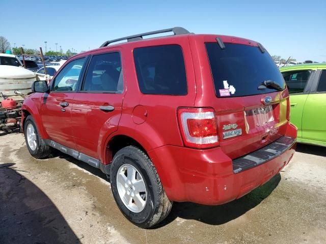 2011 Ford Escape XLT