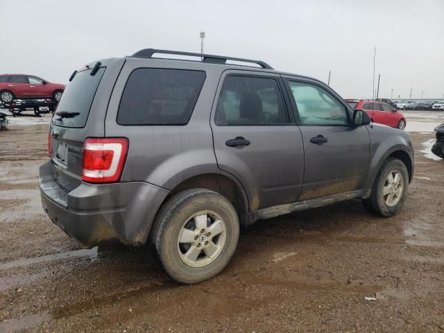 2011 Ford Escape XLT