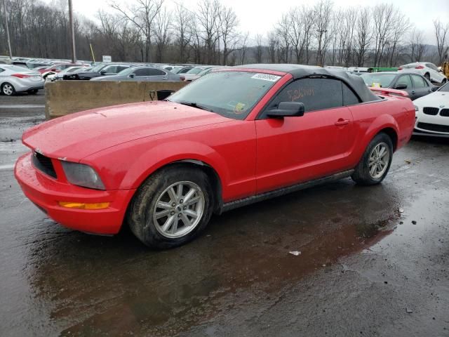 2006 Ford Mustang