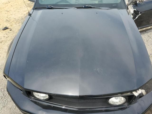 2005 Ford Mustang