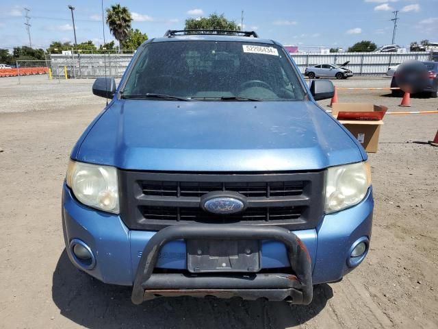 2009 Ford Escape XLT