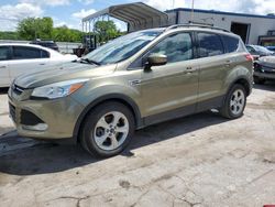 Salvage cars for sale at Lebanon, TN auction: 2013 Ford Escape SE
