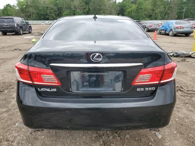 2010 Lexus ES 350