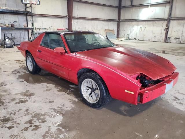 1989 Pontiac Firebird Base