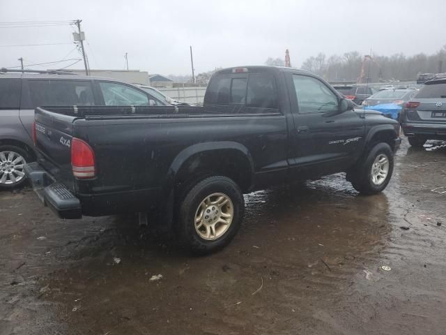 2001 Dodge Dakota