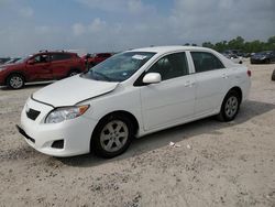 Salvage cars for sale at Houston, TX auction: 2010 Toyota Corolla Base