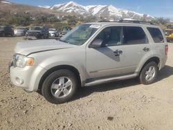Salvage cars for sale at Reno, NV auction: 2008 Ford Escape XLT