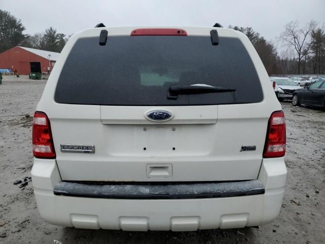 2010 Ford Escape XLT