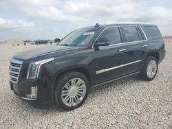 Salvage cars for sale at New Braunfels, TX auction: 2019 Cadillac Escalade Platinum