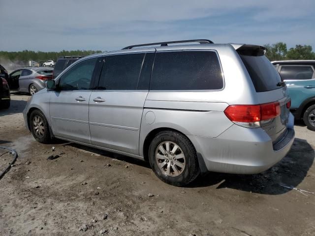 2010 Honda Odyssey EXL