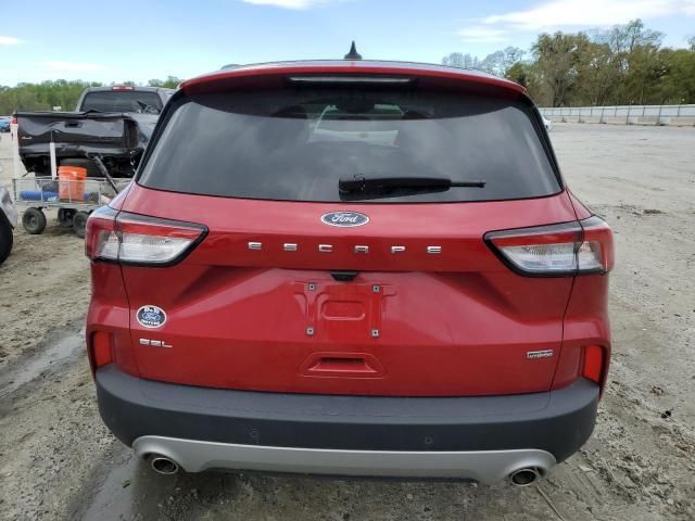 2022 Ford Escape SEL