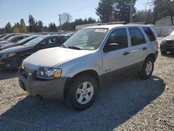 Salvage cars for sale at Graham, WA auction: 2006 Ford Escape HEV