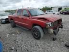 2006 Dodge Dakota Quattro