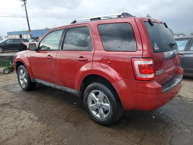 2010 Ford Escape Limited