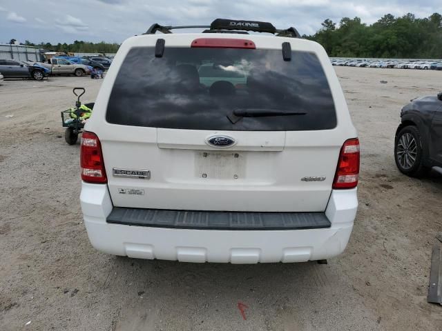 2009 Ford Escape XLT