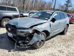 Salvage cars for sale at Candia, NH auction: 2024 Volvo XC60 Core