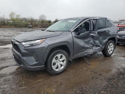 Salvage cars for sale from Copart Columbia Station, OH: 2023 Toyota Rav4 LE