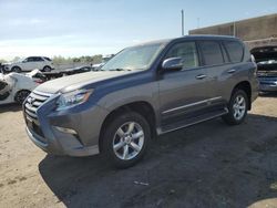 Salvage cars for sale at Fredericksburg, VA auction: 2017 Lexus GX 460