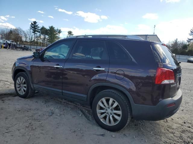 2011 KIA Sorento Base