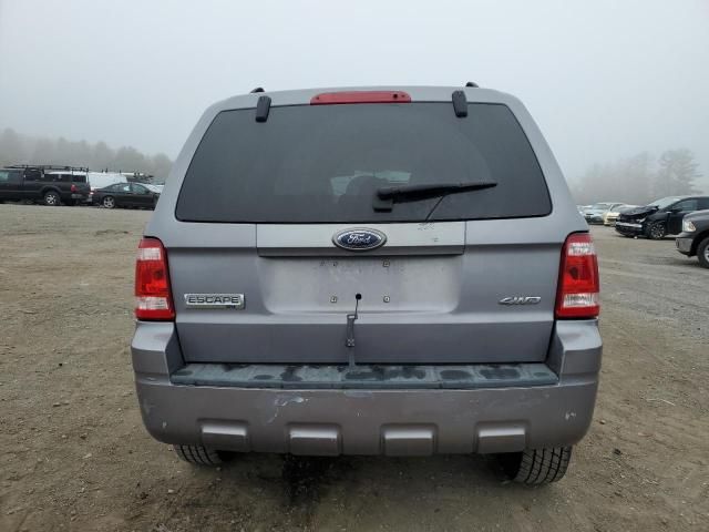 2008 Ford Escape XLT