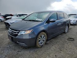 Salvage cars for sale from Copart Earlington, KY: 2016 Honda Odyssey EXL