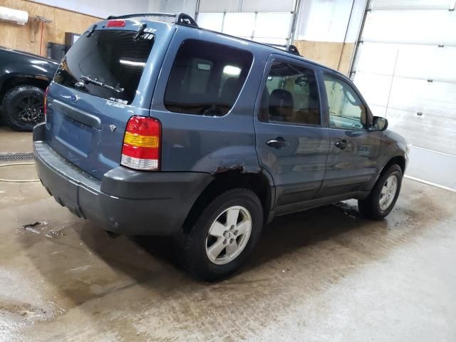 2006 Ford Escape XLT