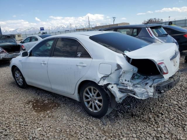 2010 Toyota Camry Hybrid