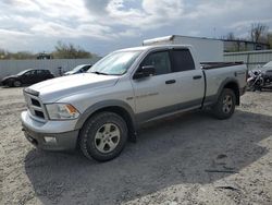 Salvage cars for sale from Copart Albany, NY: 2011 Dodge RAM 1500