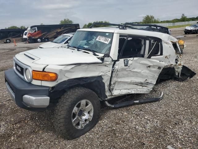 2010 Toyota FJ Cruiser