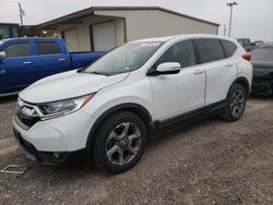 Salvage cars for sale at Temple, TX auction: 2019 Honda CR-V EX