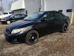 Toyota salvage cars for sale: 2010 Toyota Corolla Base