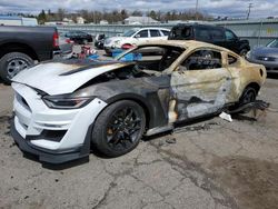 Salvage cars for sale at Pennsburg, PA auction: 2016 Ford Mustang GT