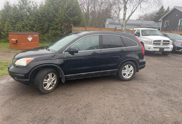 2010 Honda CR-V EXL