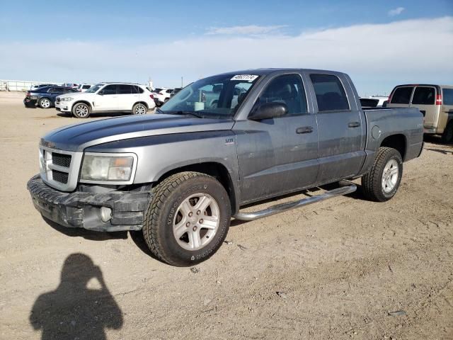 2010 Dodge Dakota SXT