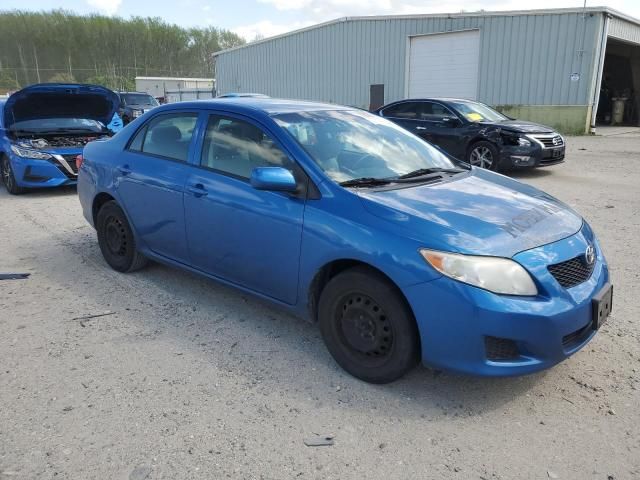 2010 Toyota Corolla Base