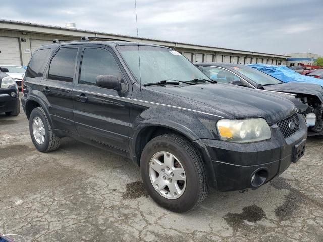 2007 Ford Escape Limited