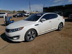 KIA Optima Hybrid salvage cars for sale: 2013 KIA Optima Hybrid