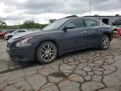 Salvage cars for sale from Copart Lebanon, TN: 2010 Nissan Maxima S