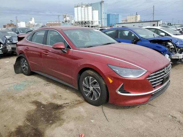 2023 Hyundai Sonata Hybrid