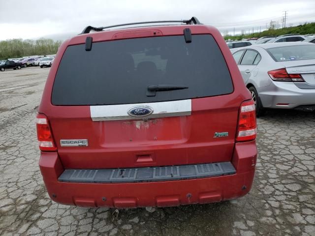 2011 Ford Escape Limited