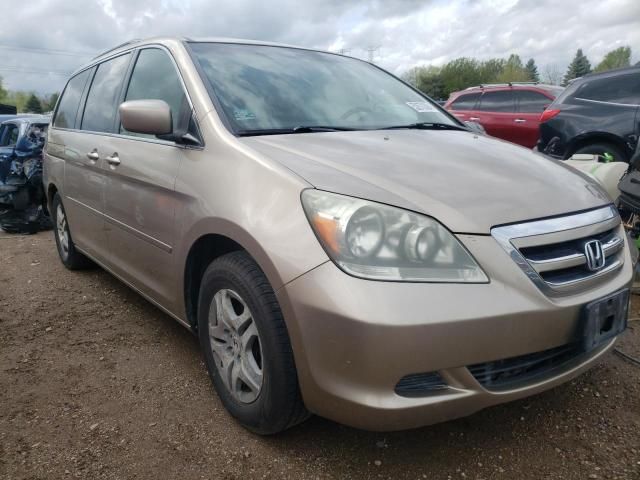 2006 Honda Odyssey EXL