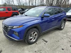 Salvage cars for sale at Candia, NH auction: 2023 Hyundai Tucson SEL