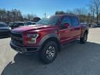 2017 Ford F150 Raptor