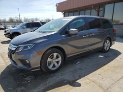 Salvage cars for sale at Fort Wayne, IN auction: 2019 Honda Odyssey EX
