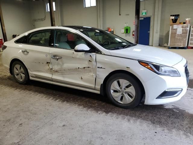 2016 Hyundai Sonata Hybrid