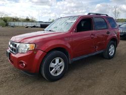 Ford Escape XLT salvage cars for sale: 2010 Ford Escape XLT