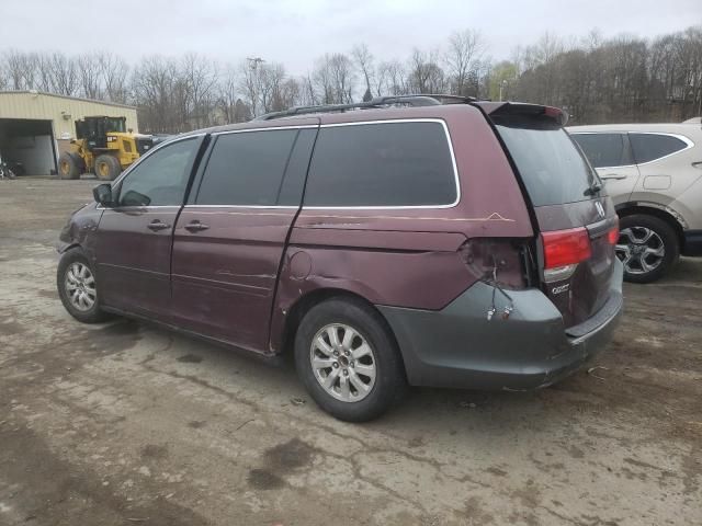 2008 Honda Odyssey EXL