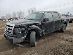 2013 Ford F150 Supercrew for sale in Rocky View County, AB