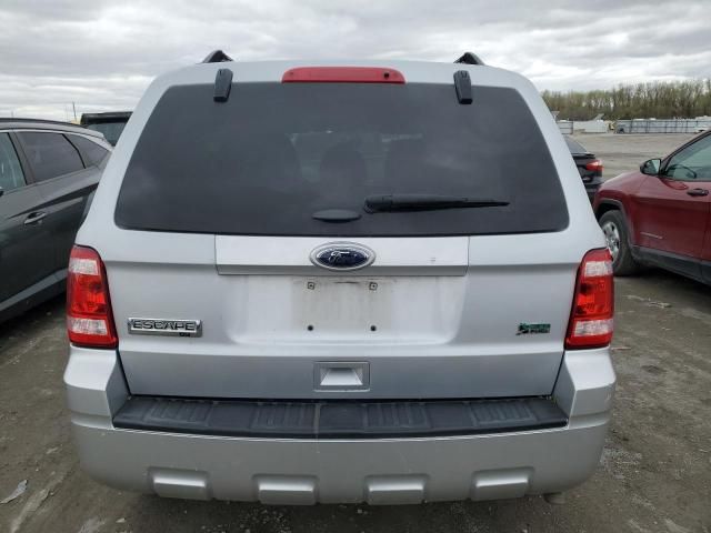 2011 Ford Escape XLT